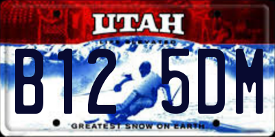 UT license plate B125DM