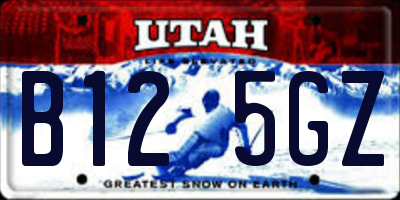 UT license plate B125GZ