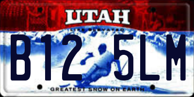 UT license plate B125LM
