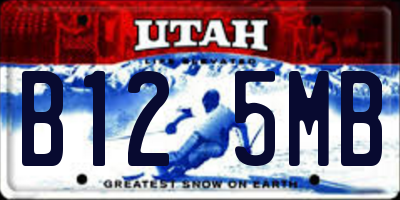 UT license plate B125MB