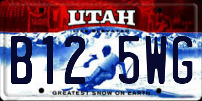 UT license plate B125WG