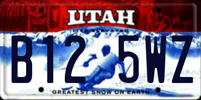 UT license plate B125WZ