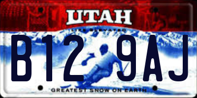 UT license plate B129AJ