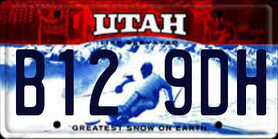 UT license plate B129DH