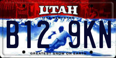 UT license plate B129KN