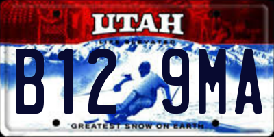 UT license plate B129MA