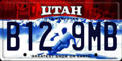 UT license plate B129MB