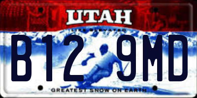 UT license plate B129MD