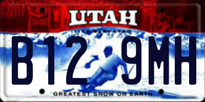 UT license plate B129MH