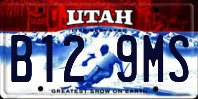 UT license plate B129MS