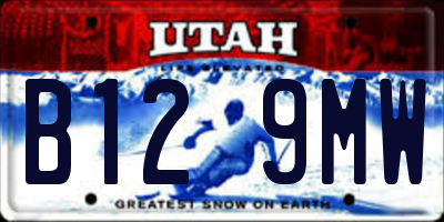 UT license plate B129MW