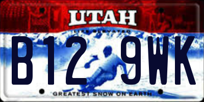 UT license plate B129WK