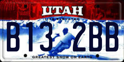 UT license plate B132BB