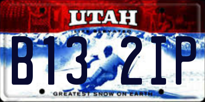 UT license plate B132IP