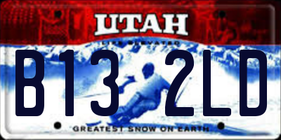 UT license plate B132LD