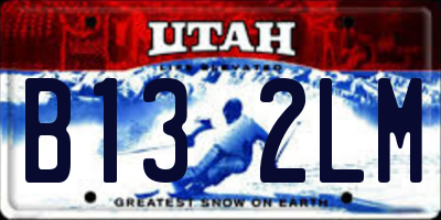 UT license plate B132LM