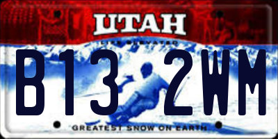 UT license plate B132WM