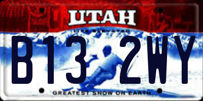 UT license plate B132WY