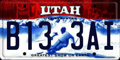 UT license plate B133AI