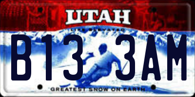 UT license plate B133AM