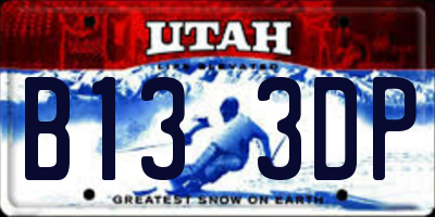 UT license plate B133DP