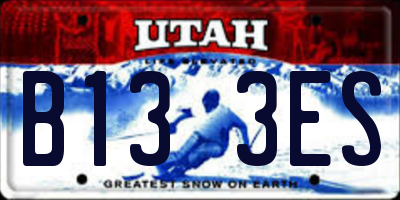 UT license plate B133ES