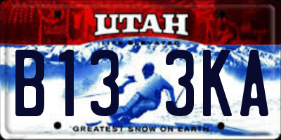 UT license plate B133KA