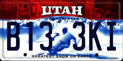 UT license plate B133KI