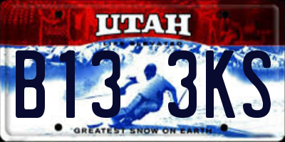 UT license plate B133KS