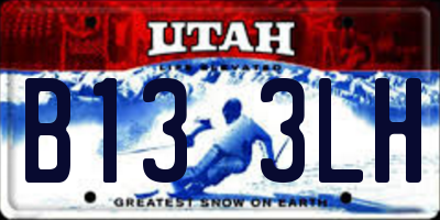 UT license plate B133LH