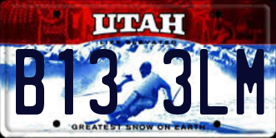 UT license plate B133LM