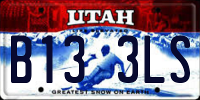 UT license plate B133LS
