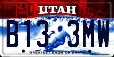 UT license plate B133MW