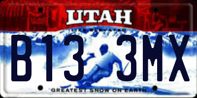 UT license plate B133MX