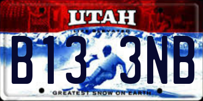 UT license plate B133NB