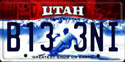 UT license plate B133NI