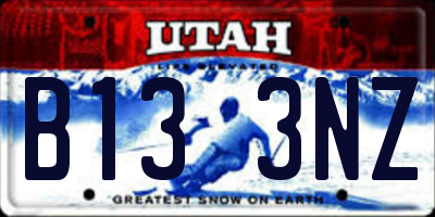 UT license plate B133NZ