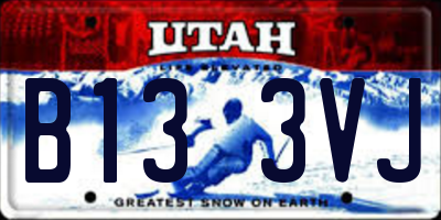 UT license plate B133VJ
