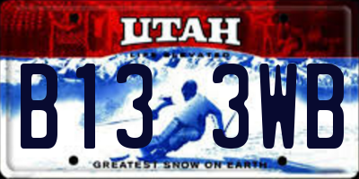 UT license plate B133WB