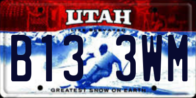 UT license plate B133WM