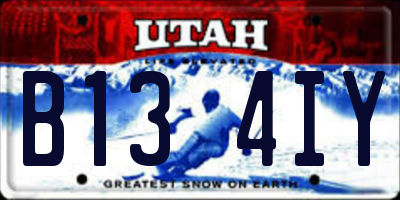 UT license plate B134IY