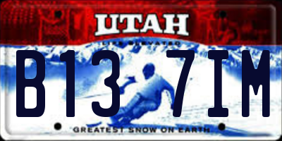 UT license plate B137IM