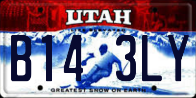 UT license plate B143LY