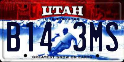 UT license plate B143MS