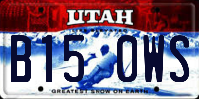 UT license plate B150WS
