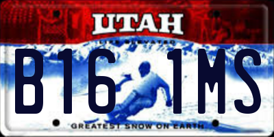 UT license plate B161MS