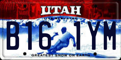 UT license plate B161YM
