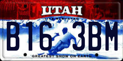 UT license plate B163BM