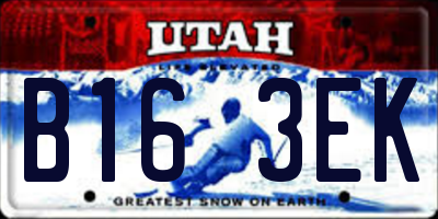 UT license plate B163EK