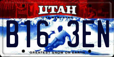 UT license plate B163EN